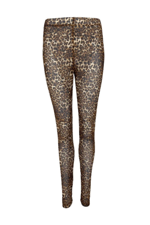 Black Colour Florence mesh legging leopard